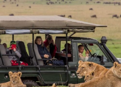 3 Days Masai Mara Air Safari from Diani