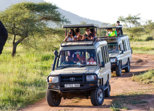 Game Drive