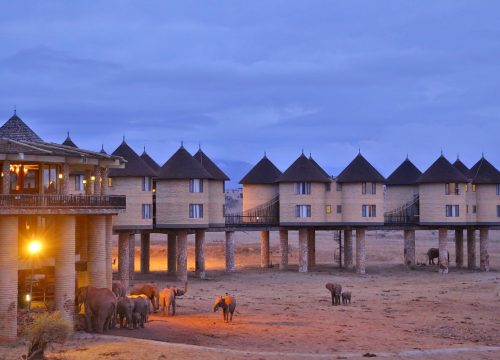 3 Days 2 Nights Tsavo East Saltlick